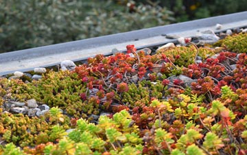 the cost of Tompkin green roof installation