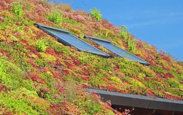 Tompkin living roof systems